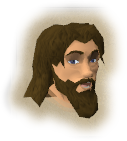 Horatio, Duke of Lumbridge (head)